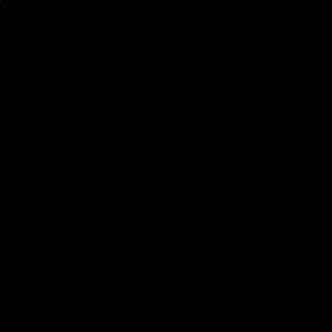 Meet your Posher, Cheyenne